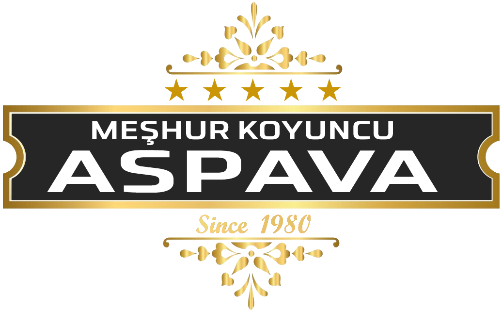 Meşhur Koyuncu Aspava